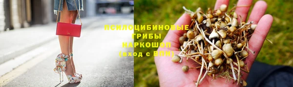 прущий лед Армянск